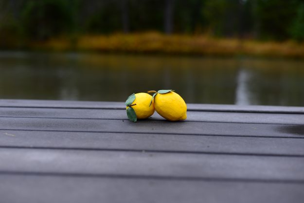 Design & Photography by Rachel ReaLemon Concept Ad fake lemons