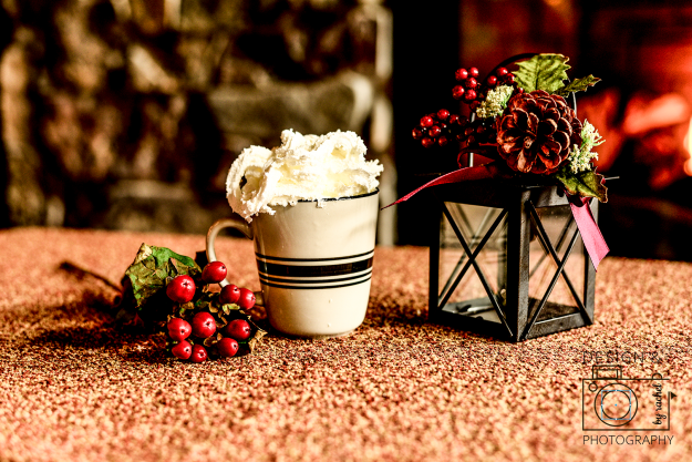 Design & Photography by Rachel Idaho Food and Product Photography Christmas lantern