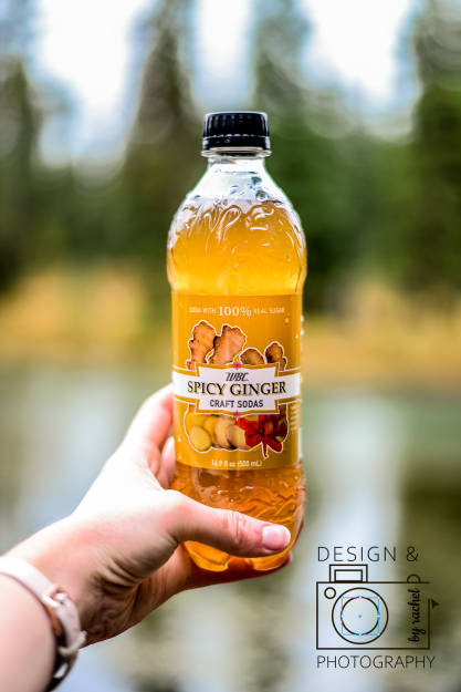 Design & Photography by Rachel Idaho Food and Product Photography Ginger soda wbc